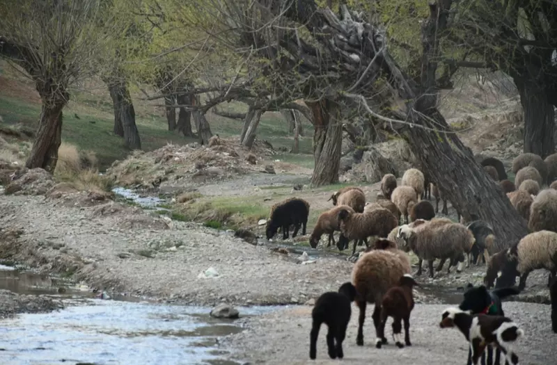 نمونه کار عکاسی مریم کریمیان