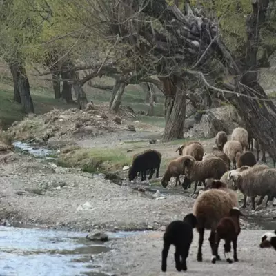 نمونه کار عکاسی سفر و گردشگری توسط کریمیان 