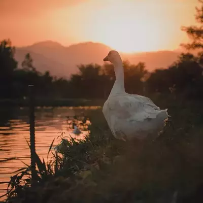 نمونه کار عکاسی سفر و گردشگری توسط تاریوردی 