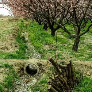 نمونه کار عکاسی مناظر توسط جاجرمی 