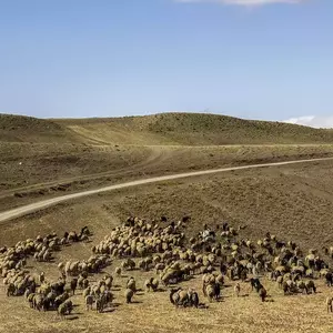 نمونه کار عکاسی مناظر توسط جاجرمی 