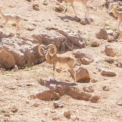 نمونه کار عکاسی سفر و گردشگری توسط هنرور 