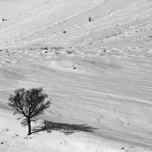 نمونه کار عکاسی مناظر توسط صادقی 