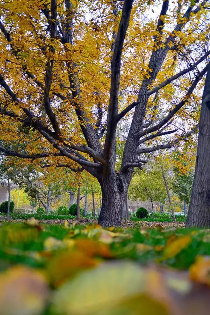 نمونه کار عکاسی بهزاد کریمی