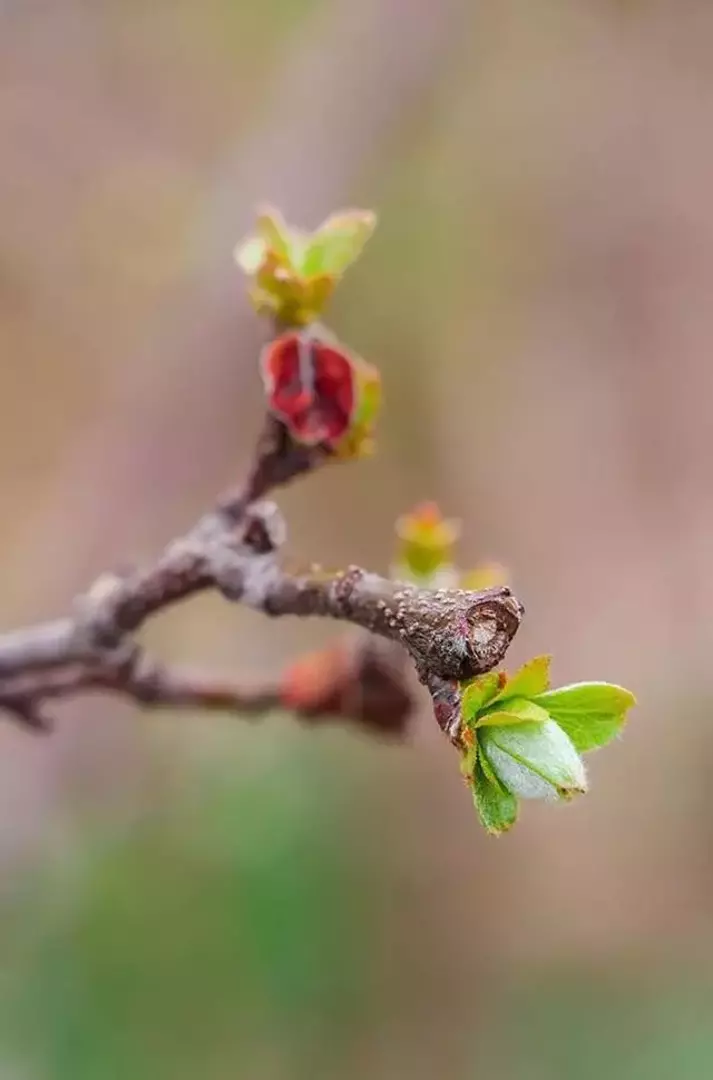 نمونه کار عکاسی ریحانه فخاریان