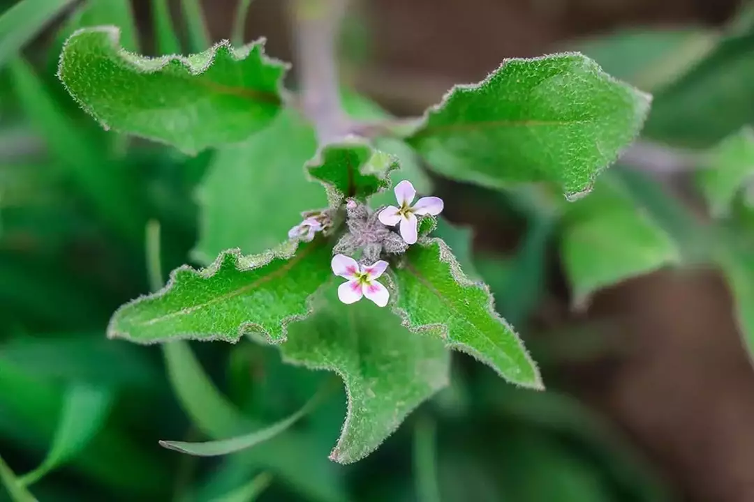 نمونه کار عکاسی ریحانه فخاریان