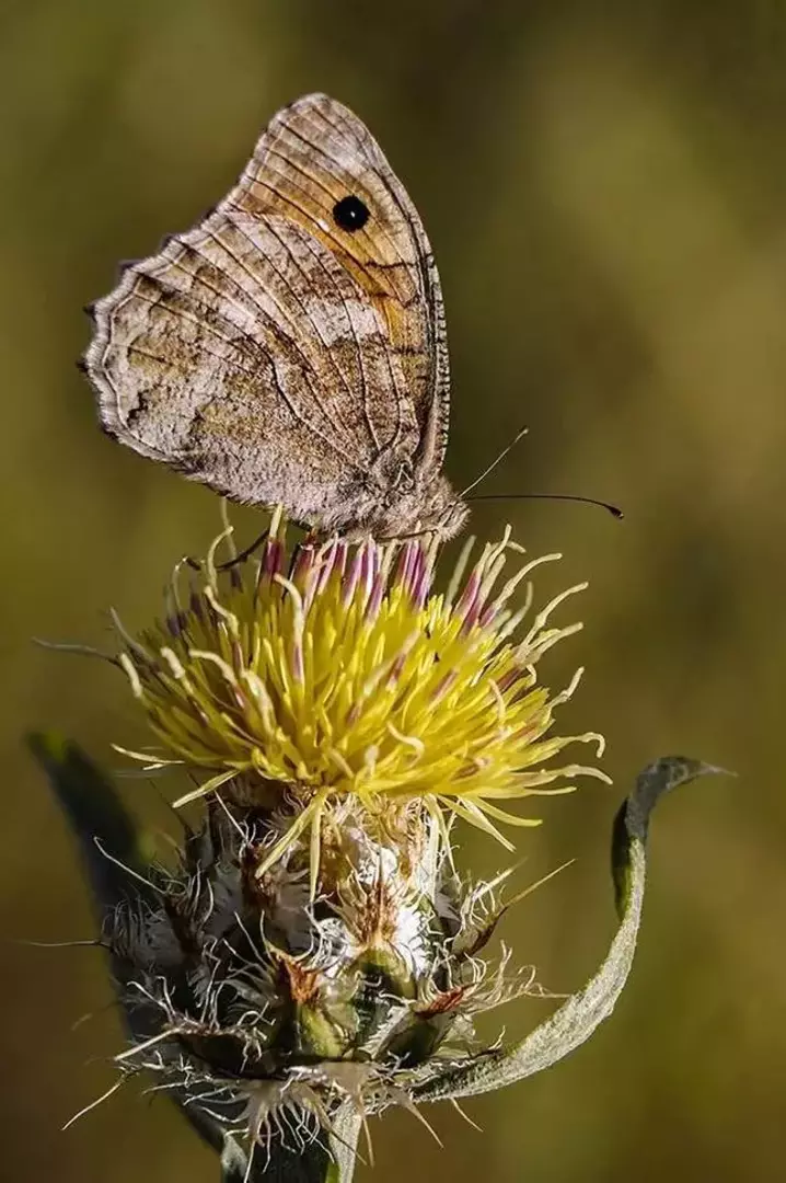 نمونه کار عکاسی ریحانه فخاریان