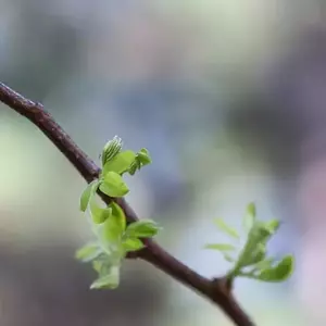 نمونه کار عکاسی غیره توسط فخاریان 