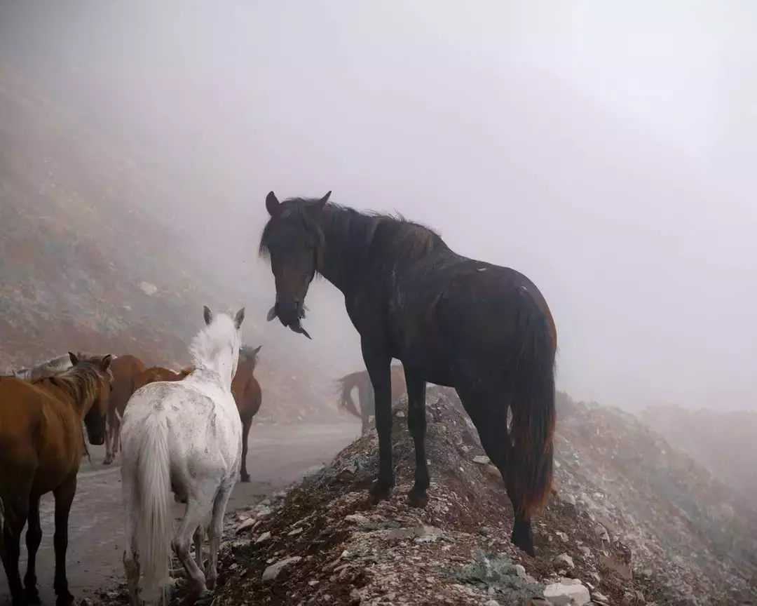 نمونه کار عکاسی سارا کریمی