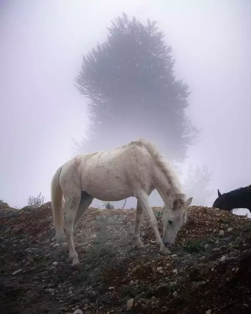 نمونه کار عکاسی سارا کریمی