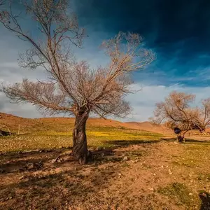 نمونه کار عکاسی مناظر توسط آلکساندریان 