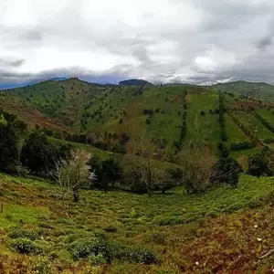 نمونه کار عکاسی مناظر توسط محرمی 