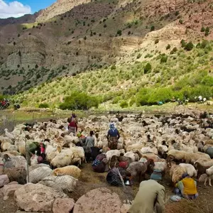 نمونه کار عکاسی سفر و گردشگری توسط محرمی 