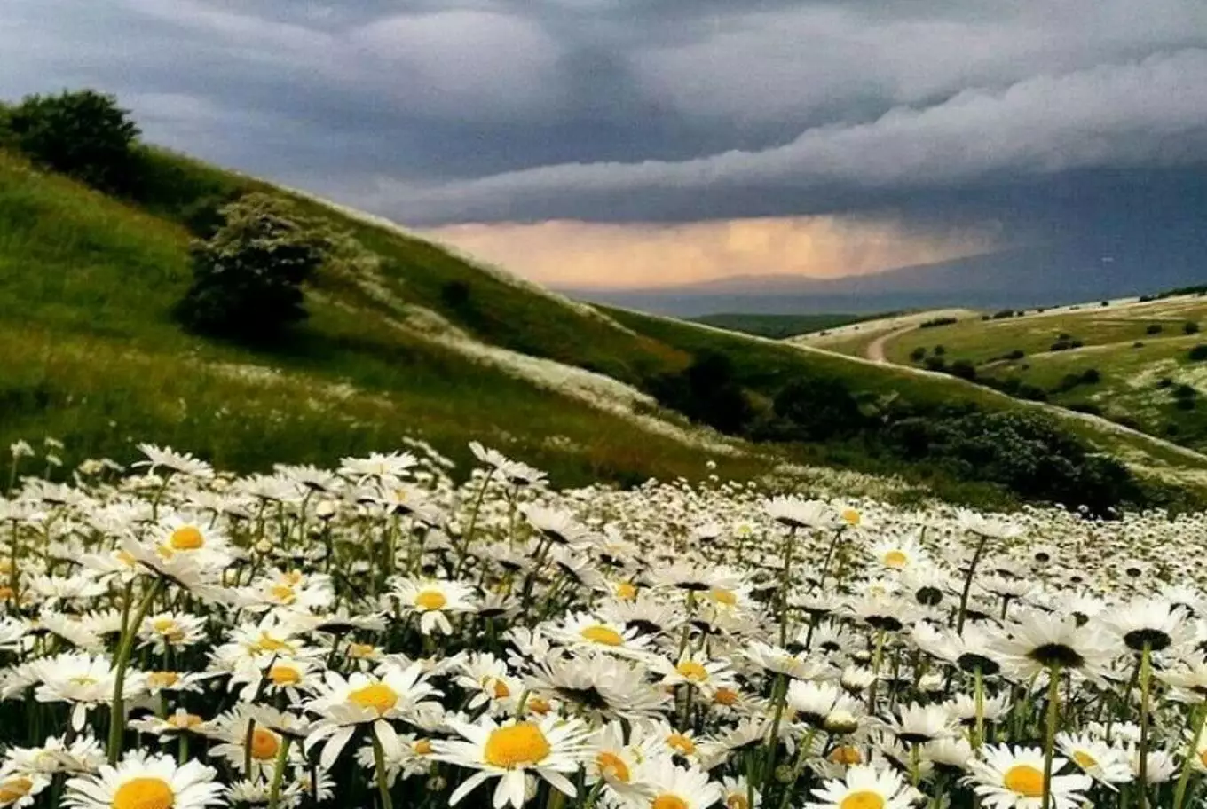 عکس گردنه حیران