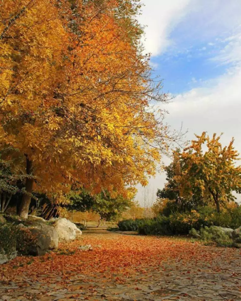 عکس  باغ گیاه شناسی ملی ایران