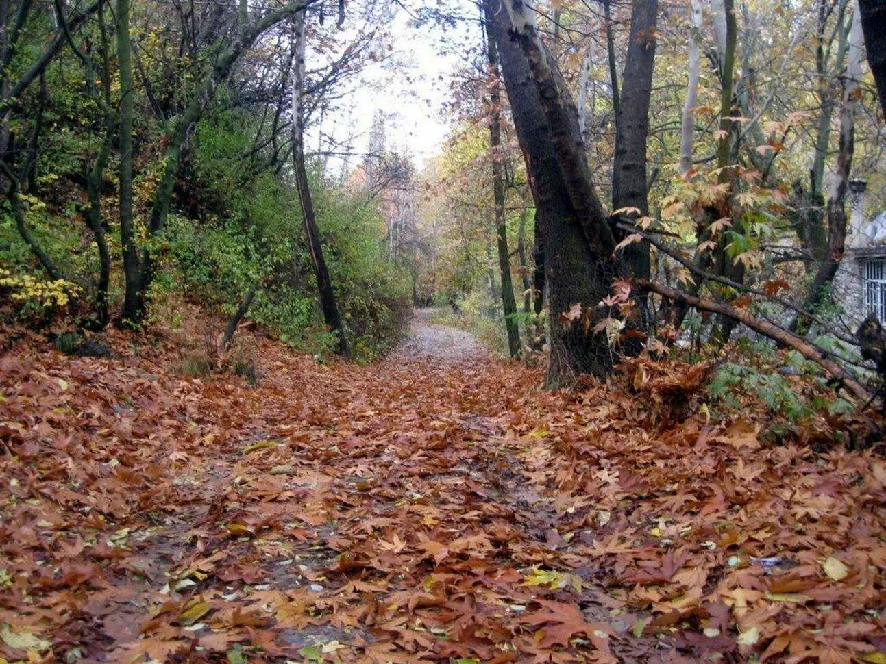 عکس روستای آغشت کرج