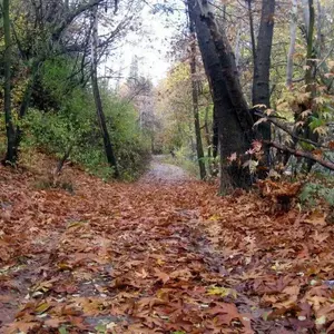 روستای آغشت کرج