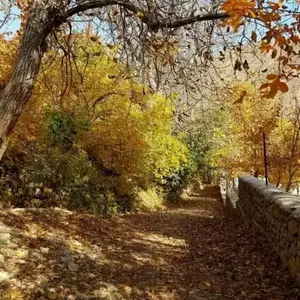 روستای برگ جهان لواسان