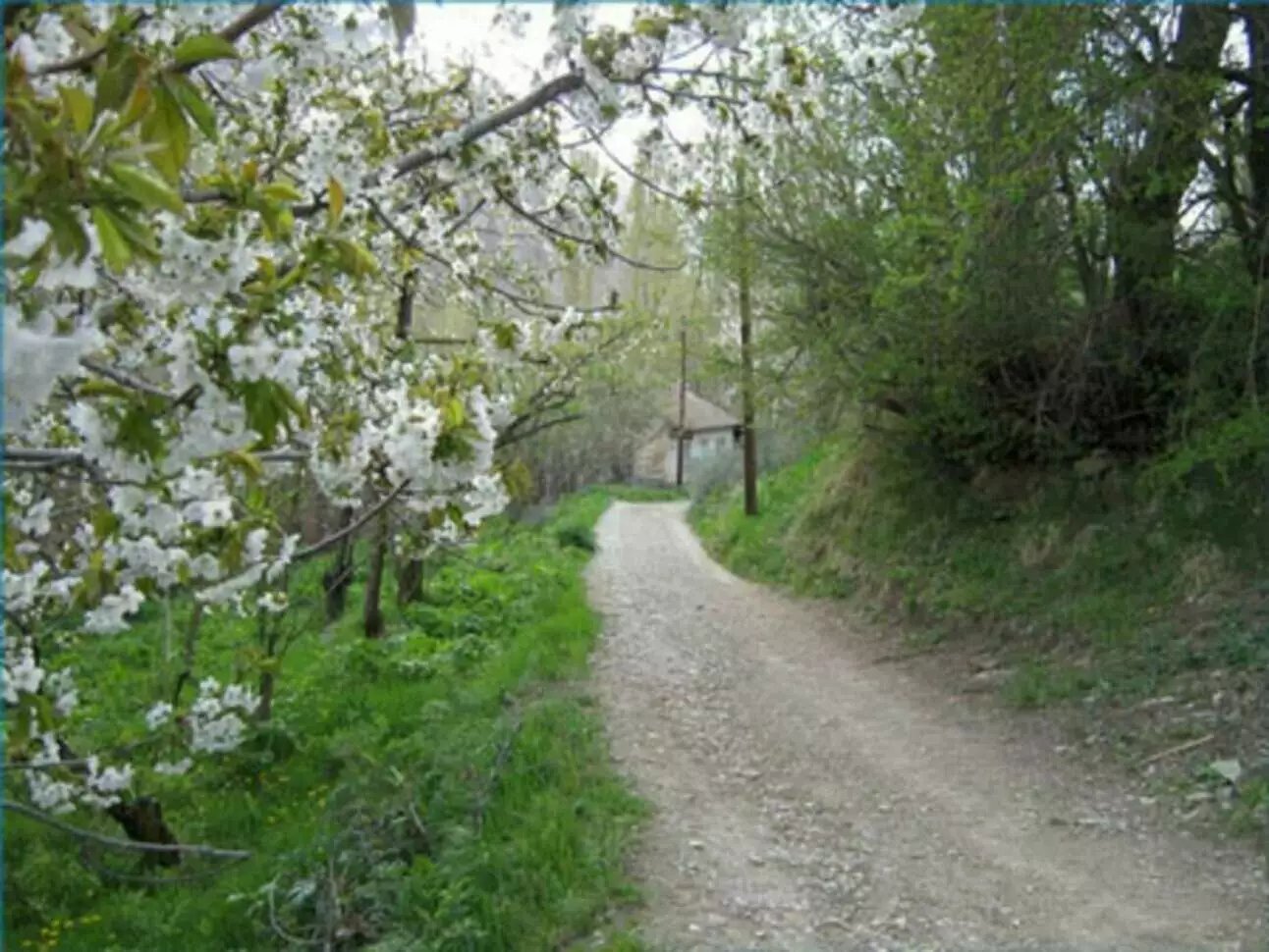 عکس روستای برگ جهان لواسان