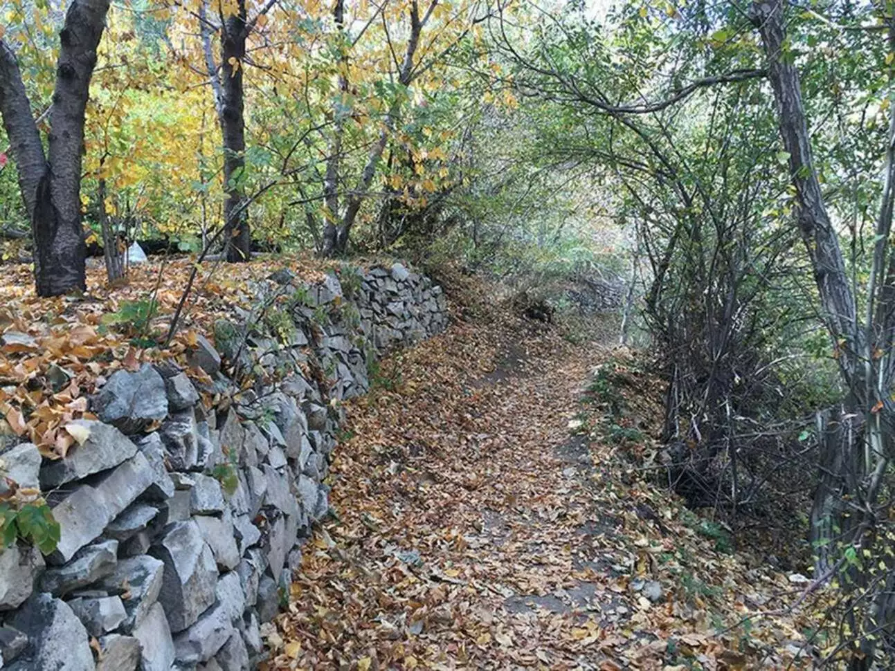 عکس روستای برگ جهان لواسان