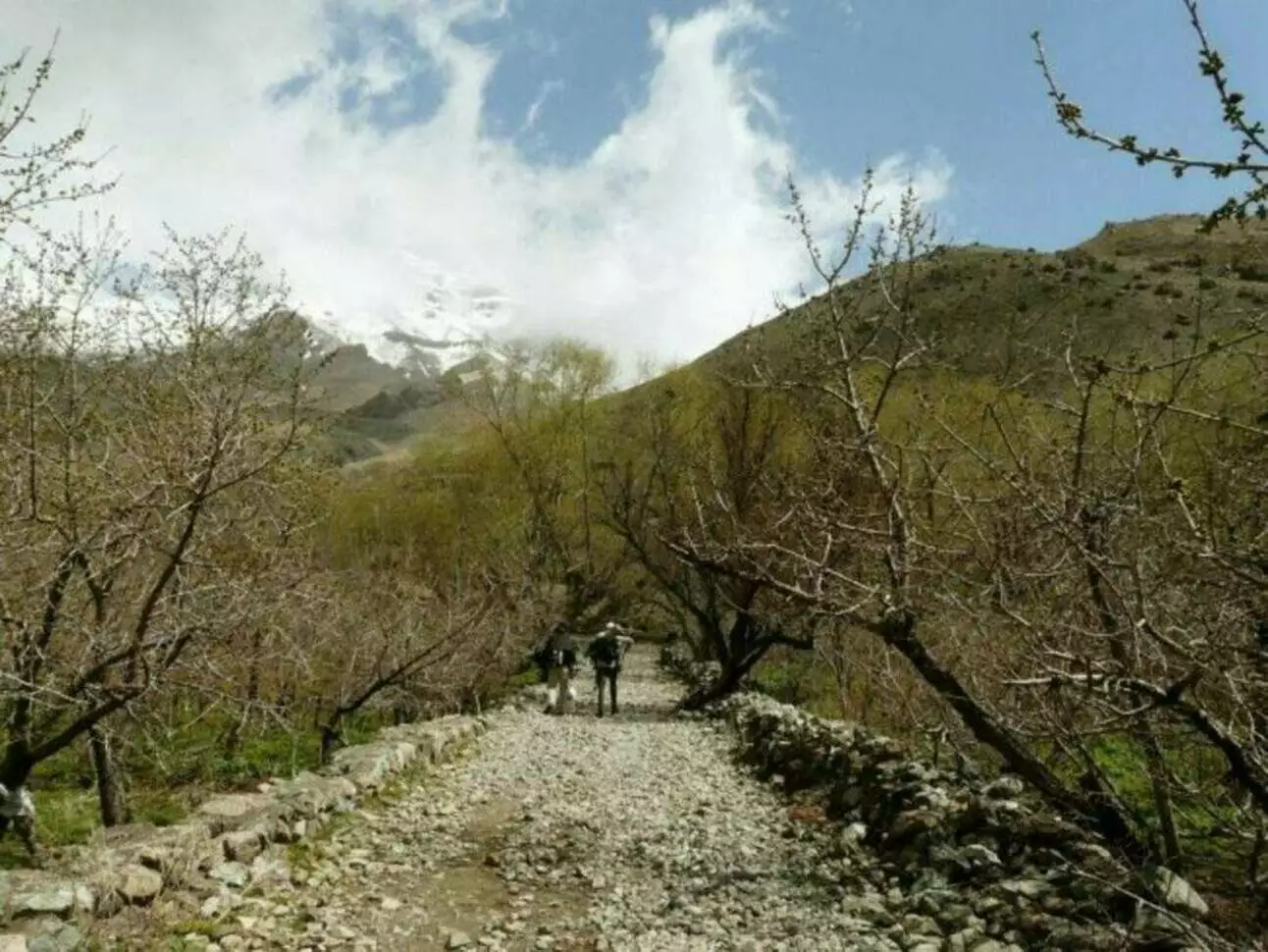 عکس روستای برگ جهان لواسان