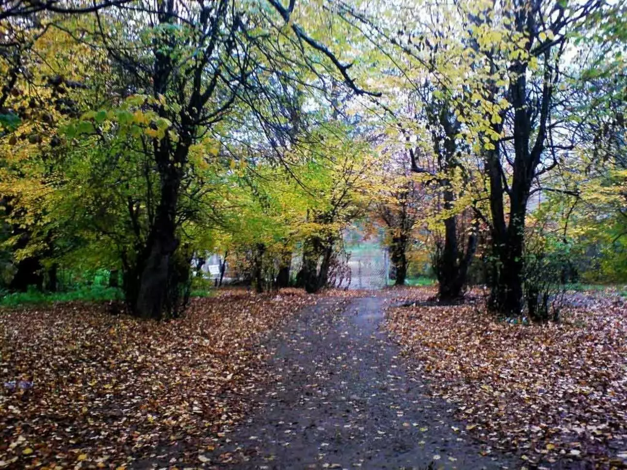 عکس روستای زرین دشت فیروزکوه