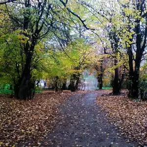 روستای زرین دشت فیروزکوه