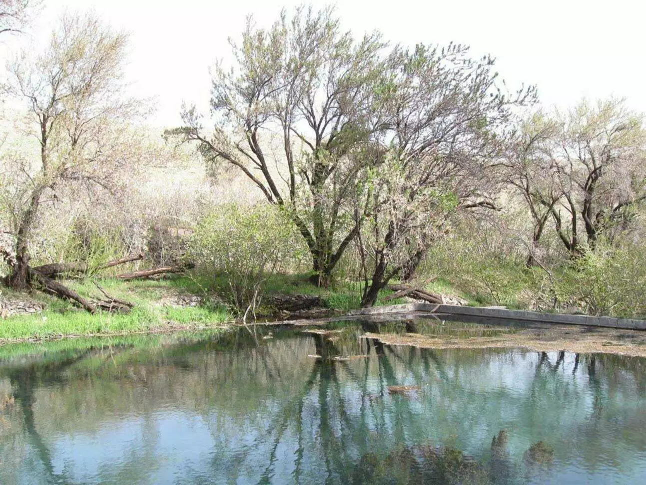 عکس روستای وشنوه