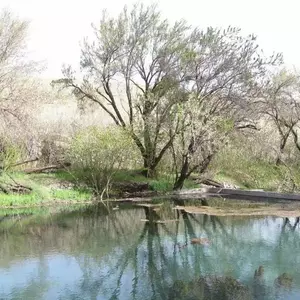 روستای وشنوه