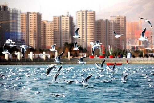 دریاچه خلیج فارس -مکان های دیدنی تهران برای عکاسی